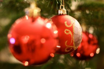 Christmas Dinner with Danny Chambers MP