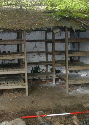 Gardens, Archaeology & Resistance