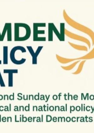 Pizza and Politics - In person 