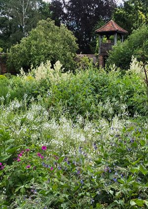 Visit to Waltham Place Gardens