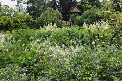 Visit to Waltham Place Gardens