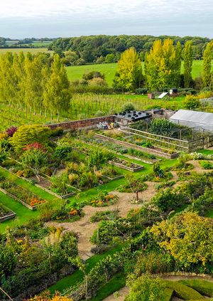Summer Social at Bridewell Gardens