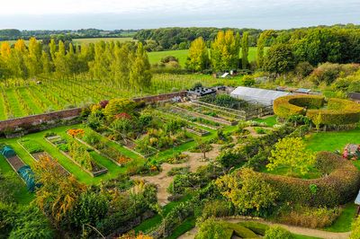 Summer Social at Bridewell Gardens