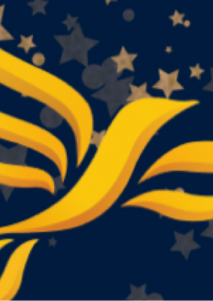 Winter Fundraiser
