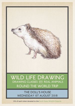 Wild Life Drawing: Round the World Trip