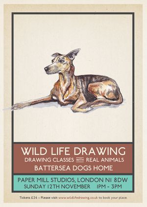 Wild Life Drawing: Battersea Dogs Home Charity Special