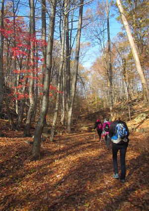 Guided Tour of Warwick Wednesday walk