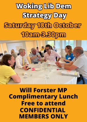 Woking Strategy Day