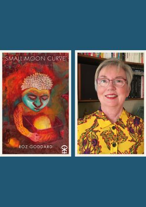 Roz Goddard - Small Moon Curve