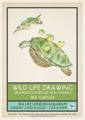 Wild Life Drawing: Sea Turtles