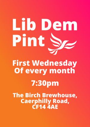 Lib Dem Pint