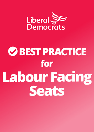 Single Issue Campaigns in Labour facing seats
