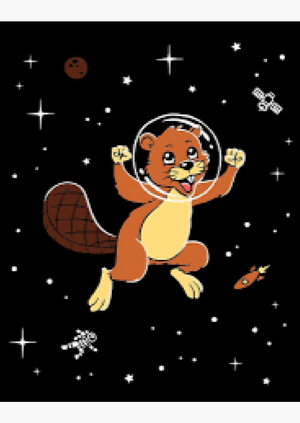Beavers Sleepover - One Small Step