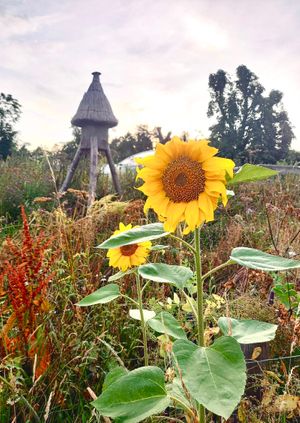 Talk: History of Asthall Manor Kitchen Garden