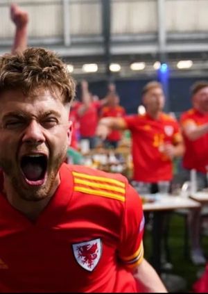 Wales v Bosnia Fanzone 