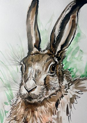 Wild Life Drawing Recording: March Hares