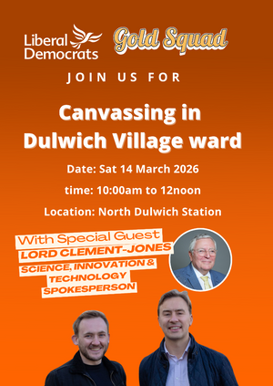 Dulwich Village Campaigning