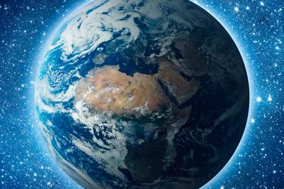 Wild Life Drawing Online: Earth