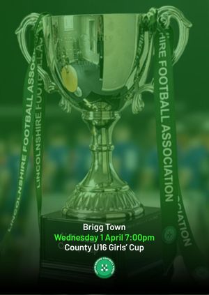 County U16 Girls Cup