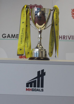 MH Goals Women's Semi Final - Halesworth Town v Needham Market