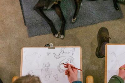 Wild Life Drawing: Sighthound Special