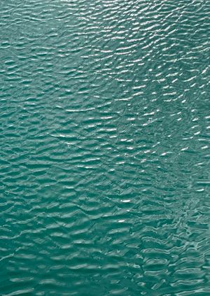 Wild Life Drawing Online: Mindful Mark-making