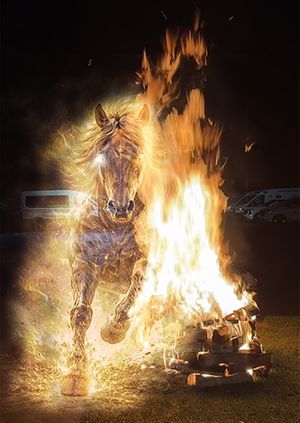 Moving Forward Firewalk!