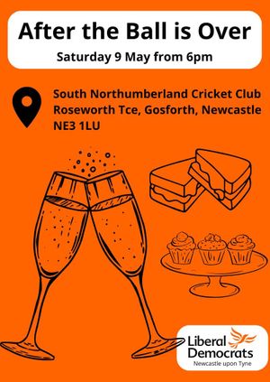 After the Ball is Over: post-election social