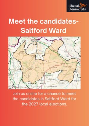 Meet your ward candidates - Saltford