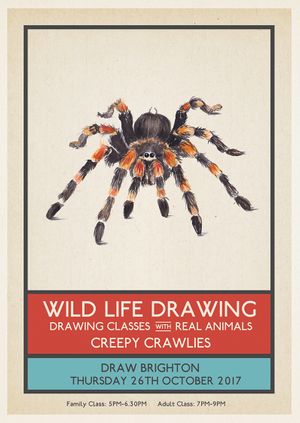 Wild Life Drawing: Family Halloween Special – Creepy Crawlies