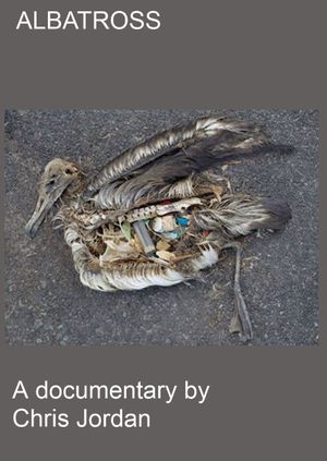 Albatross - film