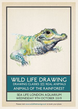 Wild Life Drawing: Animals of the Rainforest