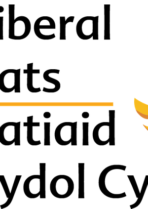Carmarthenshire Liberal Democrat Celebratory Social Evening
