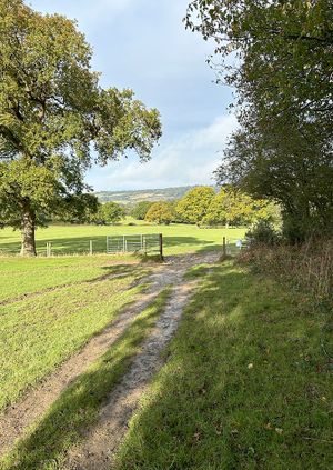 Guided walk & Young Artists lunchtime concert