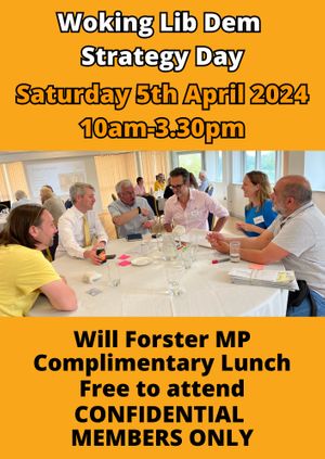 Woking Lib Dem Strategy Day