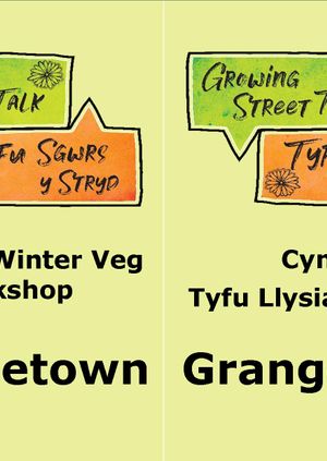 Grangetown Growing Winter Veg Workshop