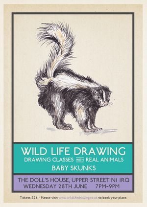 Wild Life Drawing: Baby Skunks