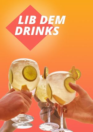 Lib Dem Drinks: Highbridge & Burnham-On-Sea