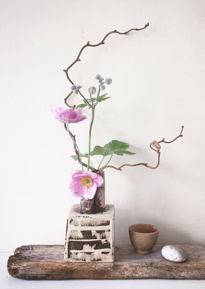 5ftinf - Ikebana at Arlo & Jacob, London