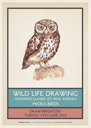 Wild Life Drawing: Micro-birds