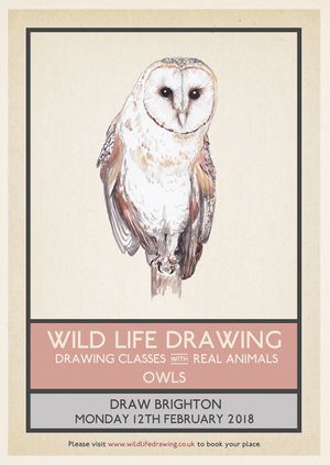 Wild Life Drawing: Owls – Adult Class