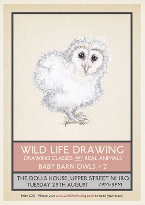 Wild Life Drawing: Baby Barn Owls #2