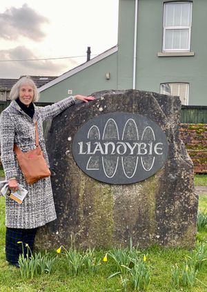 Llandybie: Canvassing