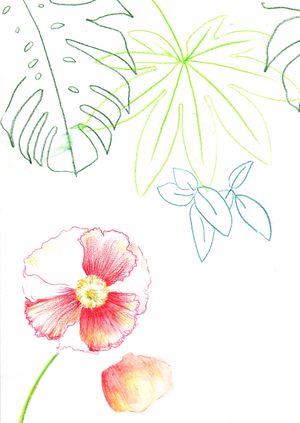 Botanical Illustration Workshop