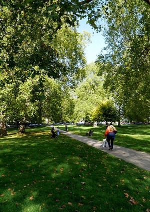 Goose Green Action Afternoon