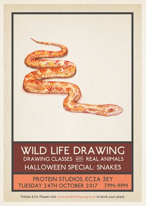 Wild Life Drawing Halloween Special: Snakes