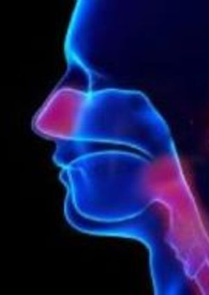 International Conference on Otology, Rhinology and Laryngology