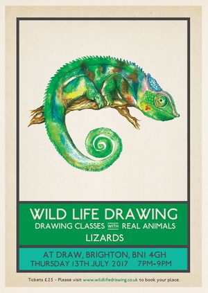 Wild Life Drawing: Lizards