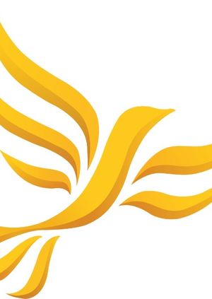 Members briefing: Local Government Reorganisation in Hampshire by Martin Tod