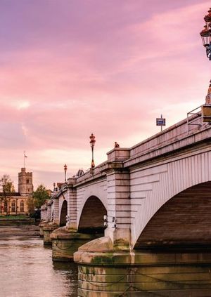 Thamesfield Action Day